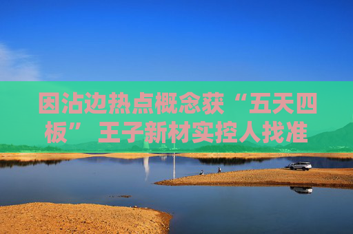 因沾边热点概念获“五天四板” 王子新材实控人找准时机高位套现