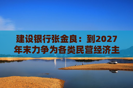 建设银行张金良：到2027年末力争为各类民营经济主体提供融资规模不少于8万亿元