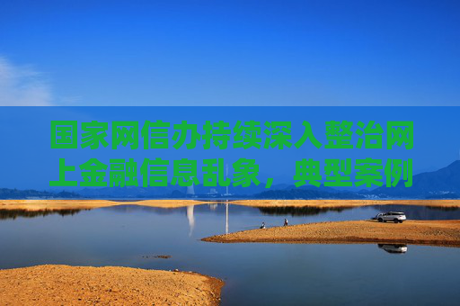 国家网信办持续深入整治网上金融信息乱象，典型案例公布