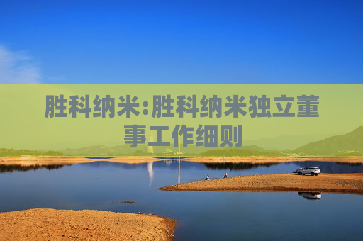 胜科纳米:胜科纳米独立董事工作细则