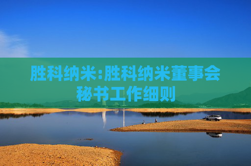 胜科纳米:胜科纳米董事会秘书工作细则