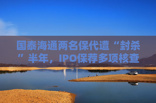 国泰海通两名保代遭“封杀”半年，IPO保荐多项核查意见不准确