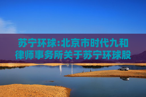 苏宁环球:北京市时代九和律师事务所关于苏宁环球股份有限公司2024年年度股东大会法律意见书  第1张