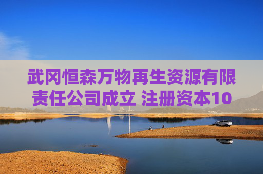 武冈恒森万物再生资源有限责任公司成立 注册资本100万人民币  第1张