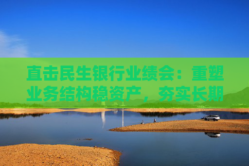 直击民生银行业绩会：重塑业务结构稳资产，夯实长期稳健发展基石  第1张