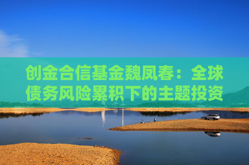 创金合信基金魏凤春：全球债务风险累积下的主题投资
