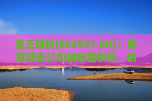 至正股份(603991.SH)：张斌辞去公司副总裁职务，仍在公司担任其他职务  第1张
