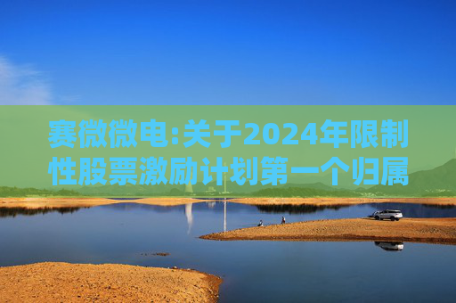 赛微微电:关于2024年限制性股票激励计划第一个归属期归属条件成就的公告