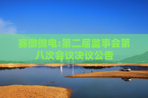 赛微微电:第二届监事会第八次会议决议公告