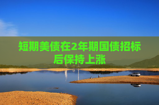短期美债在2年期国债招标后保持上涨