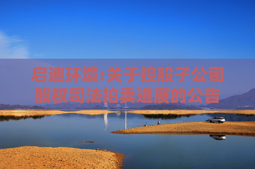 启迪环境:关于控股子公司股权司法拍卖进展的公告