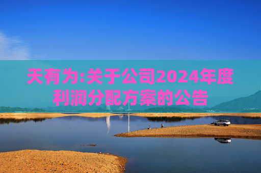 天有为:关于公司2024年度利润分配方案的公告