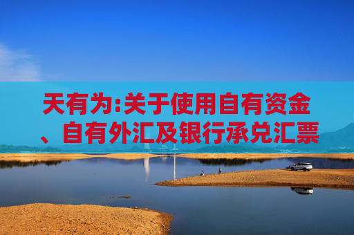 天有为:关于使用自有资金、自有外汇及银行承兑汇票等方式支付募投项目部分款项并以募集资金等额置换的公告