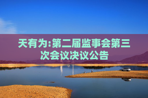 天有为:第二届监事会第三次会议决议公告