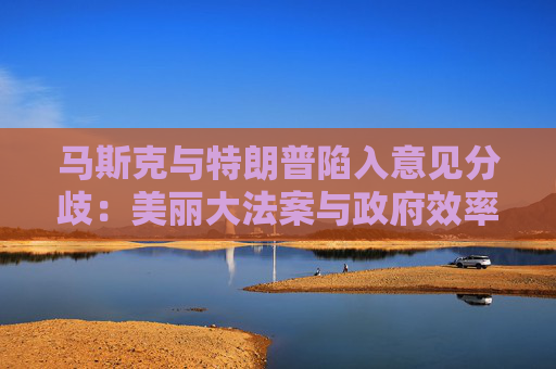 马斯克与特朗普陷入意见分歧：美丽大法案与政府效率部完全矛盾  第1张