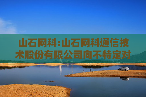 山石网科:山石网科通信技术股份有限公司向不特定对象发行可转换公司债券2025年跟踪评级报告