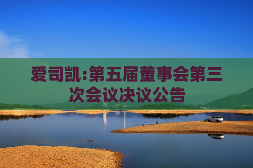 爱司凯:第五届董事会第三次会议决议公告
