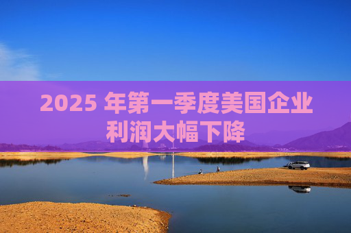 2025 年第一季度美国企业利润大幅下降