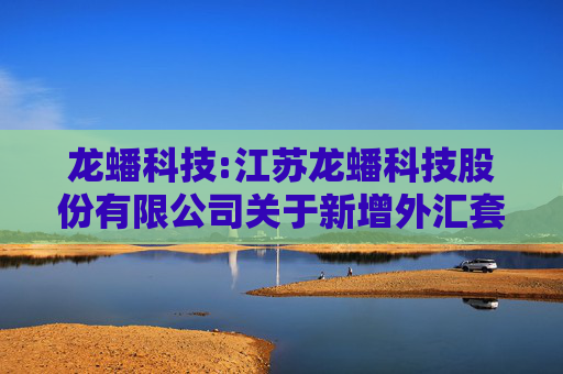 龙蟠科技:江苏龙蟠科技股份有限公司关于新增外汇套期保值业务的公告  第1张