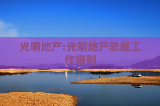 光明地产:光明地产总裁工作细则