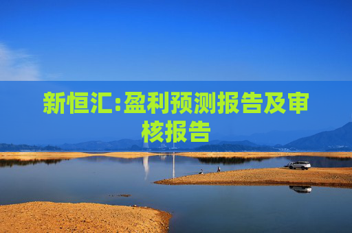 新恒汇:盈利预测报告及审核报告