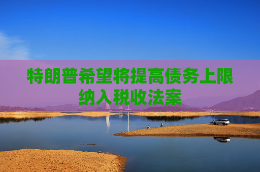 特朗普希望将提高债务上限纳入税收法案