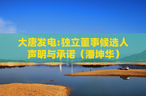 大唐发电:独立董事候选人声明与承诺（潘坤华）  第1张