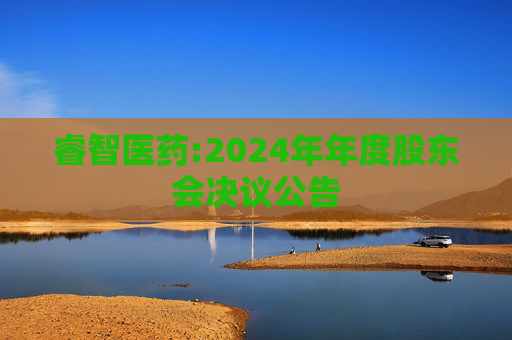 睿智医药:2024年年度股东会决议公告
