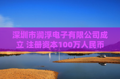 深圳市润浮电子有限公司成立 注册资本100万人民币
