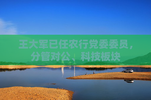 王大军已任农行党委委员，分管对公、科技板块  第1张