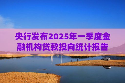 央行发布2025年一季度金融机构贷款投向统计报告