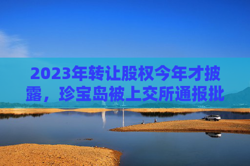 2023年转让股权今年才披露，珍宝岛被上交所通报批评  公司刚称“对信披违规责任人降薪罚款”