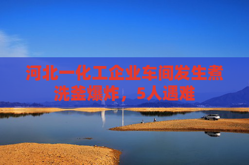 河北一化工企业车间发生煮洗釜爆炸，5人遇难
