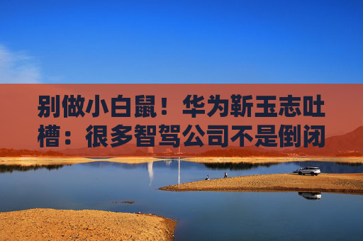 别做小白鼠！华为靳玉志吐槽：很多智驾公司不是倒闭就是做机器人去了