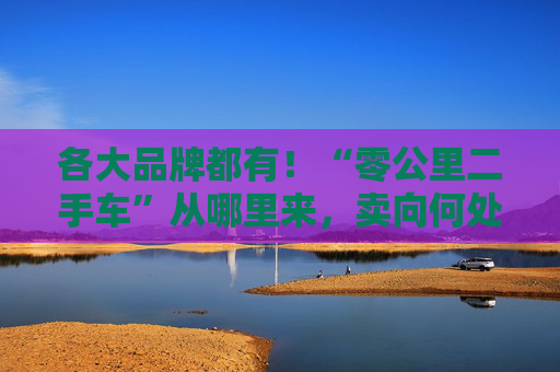 各大品牌都有！“零公里二手车”从哪里来，卖向何处，影响有多大？