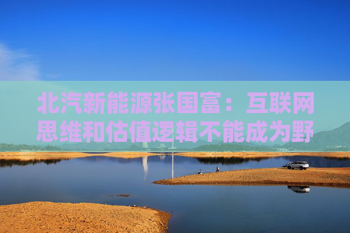 北汽新能源张国富：互联网思维和估值逻辑不能成为野蛮生长的理由