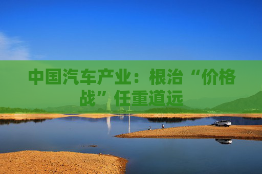 中国汽车产业：根治“价格战”任重道远