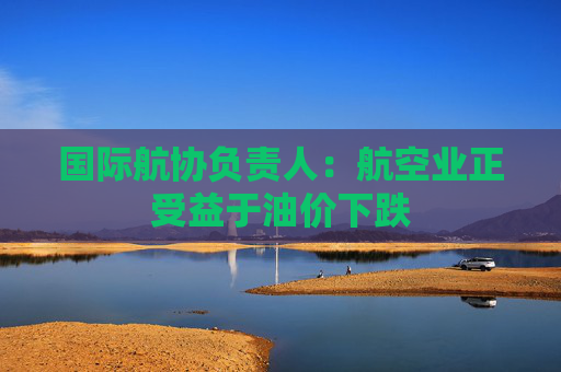 国际航协负责人：航空业正受益于油价下跌