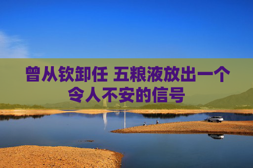 曾从钦卸任 五粮液放出一个令人不安的信号  第1张