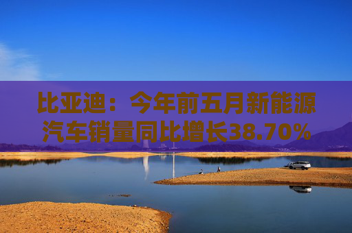 比亚迪：今年前五月新能源汽车销量同比增长38.70%