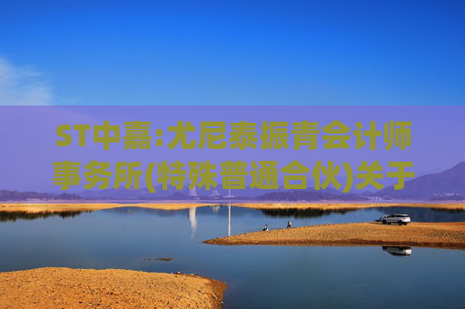 ST中嘉:尤尼泰振青会计师事务所(特殊普通合伙)关于对中嘉博创信息技术股份有限公司2024年年报的问询函的回复