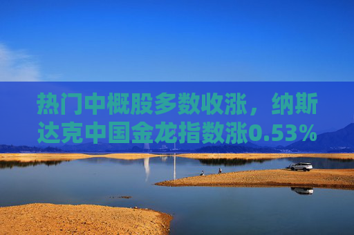热门中概股多数收涨，纳斯达克中国金龙指数涨0.53%