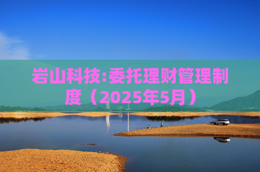 岩山科技:委托理财管理制度（2025年5月）