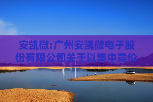 安凯微:广州安凯微电子股份有限公司关于以集中竞价交易方式回购公司股份的进展公告