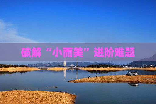 破解“小而美”进阶难题