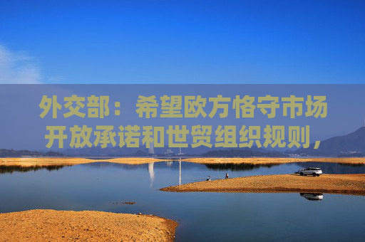 外交部：希望欧方恪守市场开放承诺和世贸组织规则，为中国企业提供公平透明、非歧视的营商环境