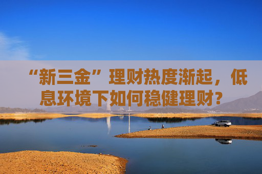 “新三金”理财热度渐起，低息环境下如何稳健理财？
