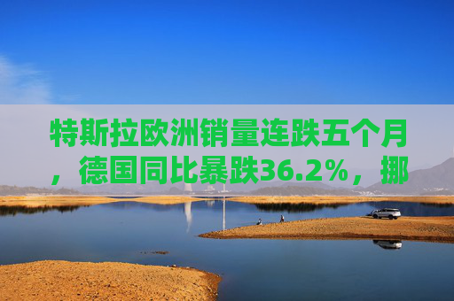 特斯拉欧洲销量连跌五个月，德国同比暴跌36.2%，挪威市场成亮点