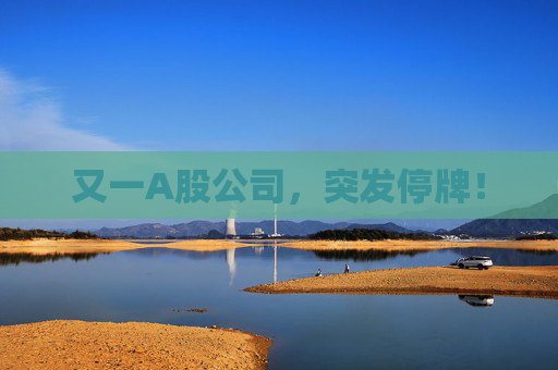 又一A股公司，突发停牌！