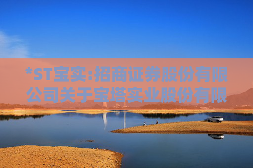 *ST宝实:招商证券股份有限公司关于宝塔实业股份有限公司本次交易信息公布前股票价格波动情况的核查意见
